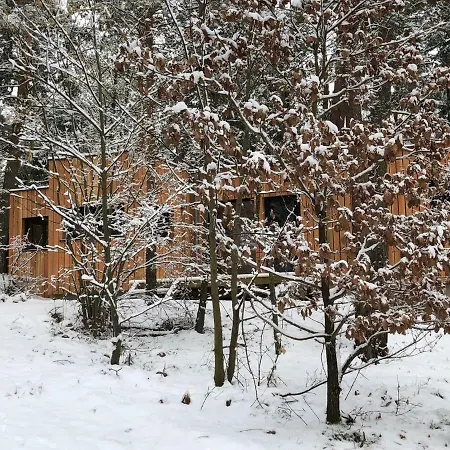 Chalet Vintage Chalet In Labaroche Near Vineyards Labaroche